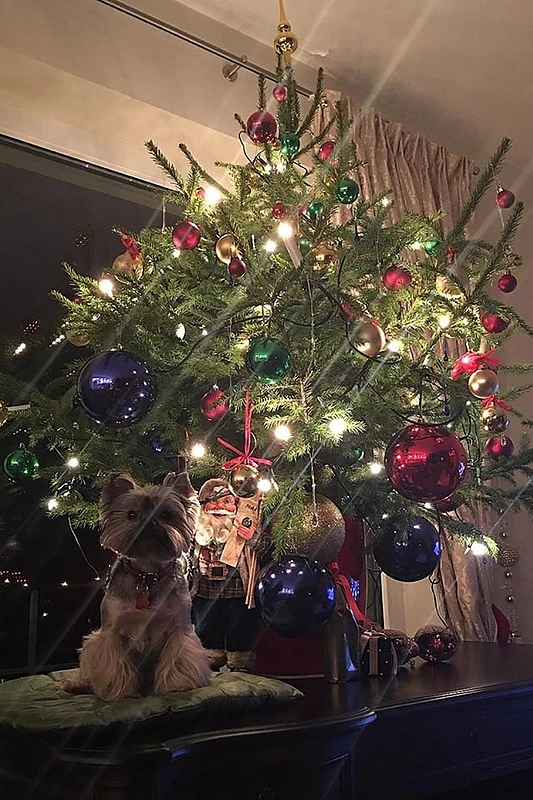 Karolinos Toleikytės kalėdiniai namų papuošimai