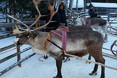 Kelionės Laplandijoje akimirka