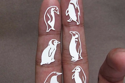 Nepaprasto detalumo karpiniai