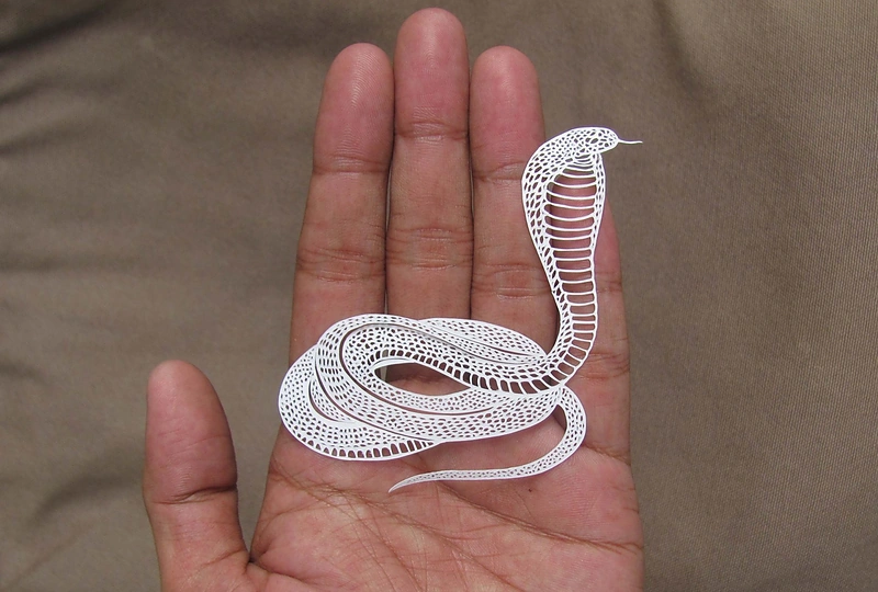 Nepaprasto detalumo karpiniai