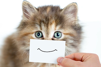 Žingsnis po žingsnio: 7 dienų gidas į laimę