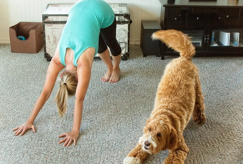 Reagano mėgsta pamėgdžioti savo šeimininkus