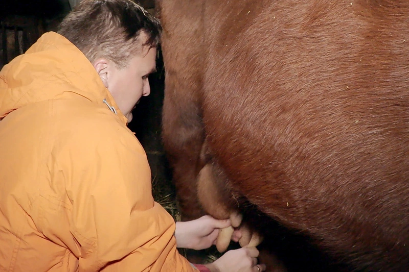 Giedrius Leškevičius