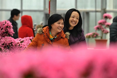 Azalijų paroda Kinijoje