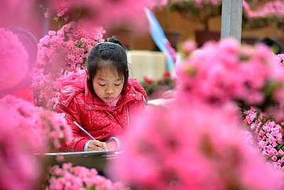 Azalijų paroda Kinijoje