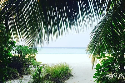 Vaidos Skaisgirės atostogų Maldyvuose akimirka