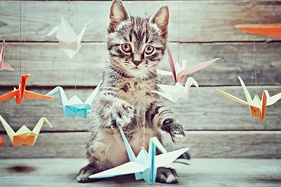 Pozityvaus mąstymo pamokos: kaip įveikti blogą nuotaiką?