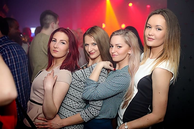 Vakarėlio „Happy Mosquito“ akimirka