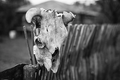 Filmavimo užkulisiai