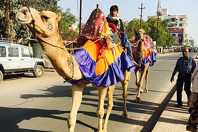 Makaliaus atostogų Indijoje akimirka