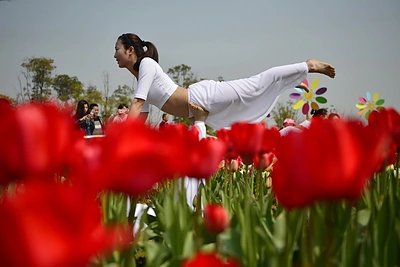 Daugiau nei milijonas žiedų tulpių parodoje Kinijoje