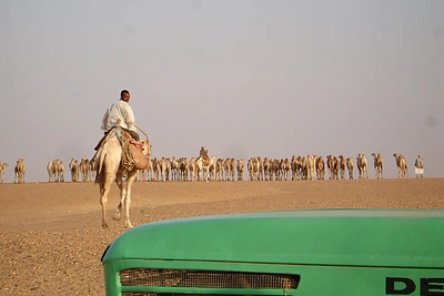 Manon Ossevoort ekspedicijos akimirka