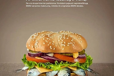 Reinaldo Janonio stilizuotas maistas