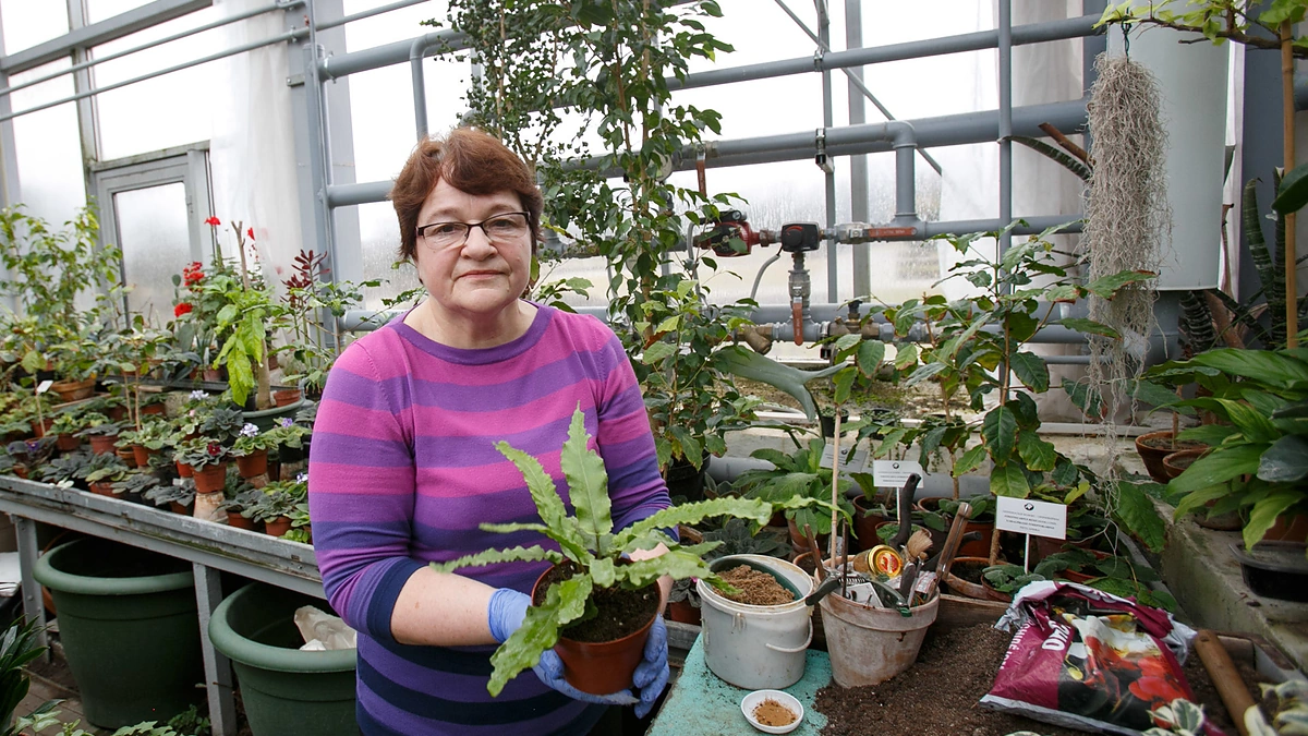 Dr. Judita Varkulevičienė