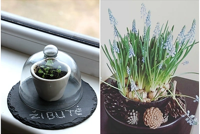 Gintarės D. (Vilnius) Velykų dekoracija