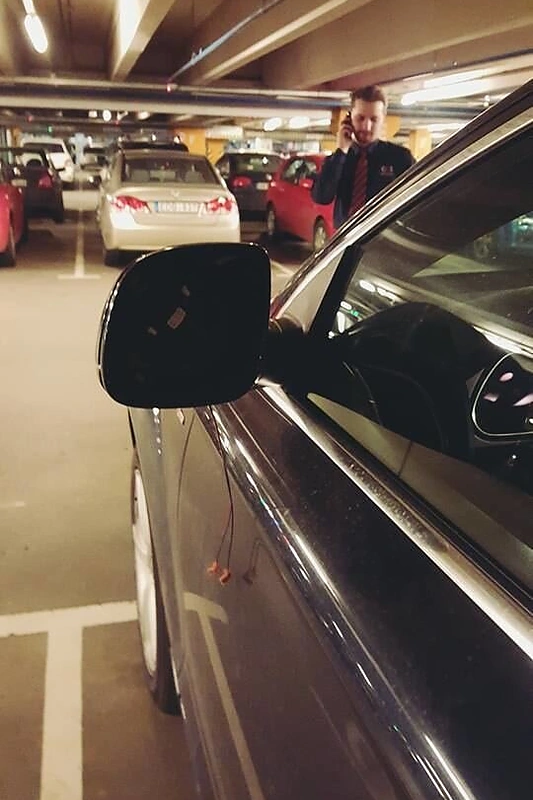 Indrės Stonkuvienės automobilis
