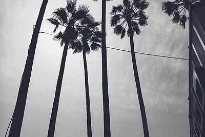 Viešnagės Kanuose akimirka