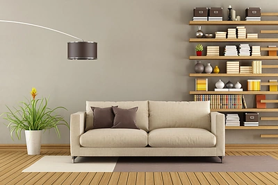 Nereiklūs kambariniai augalai, kurie išgyvens net ir tamsiausiame namų kampe