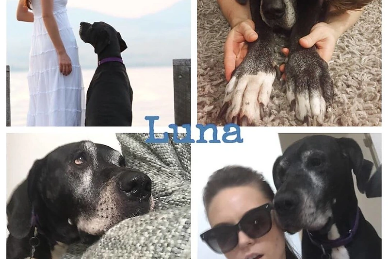 Evelina Anusauskaitė-Young