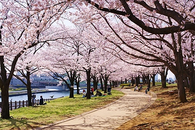 Būrėja Lina Balsė: „Kvapai sužadina pasąmonėje slypinčias patirtis“