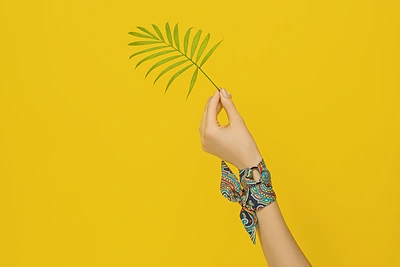 „Silk Philosophy“ aksesuarai