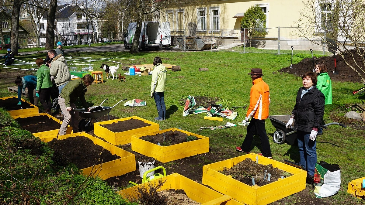 Dirbtuvių momentas.