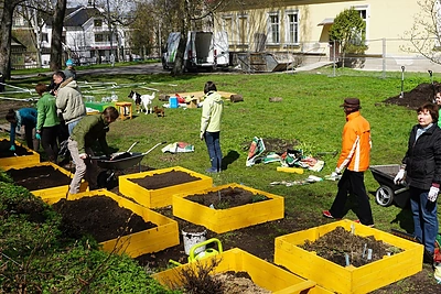 Lysvių įrengimas. Ką reikia žinoti?
