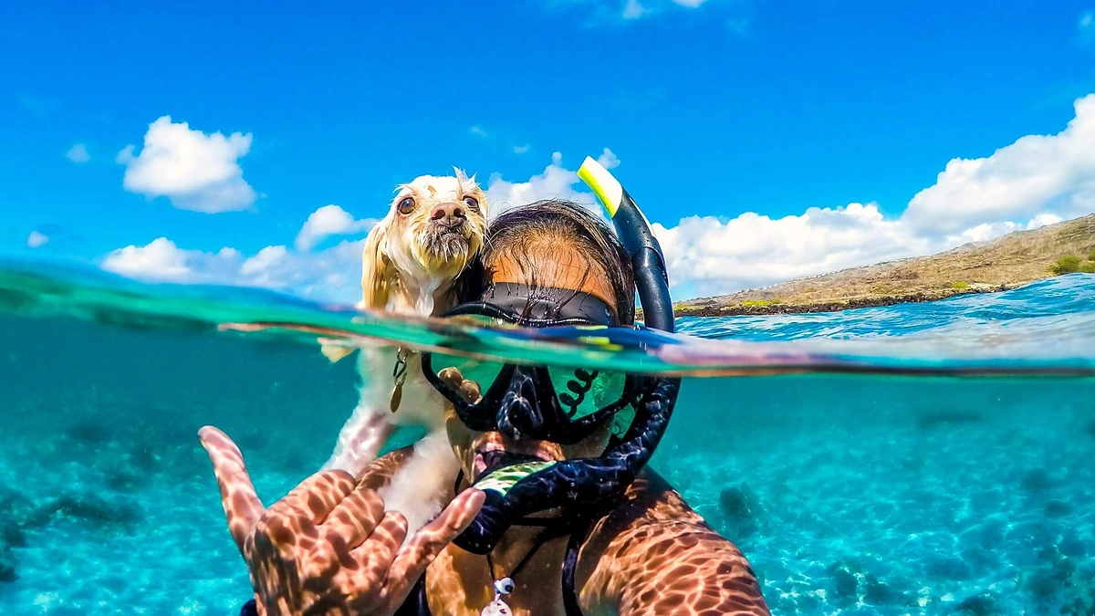 Plaukioti mėgstantis šuo Coco