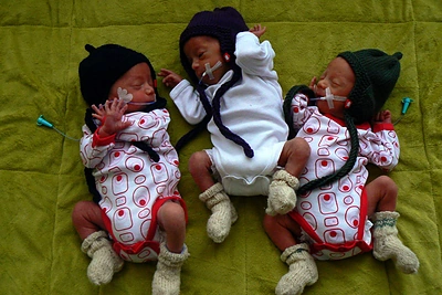 Lauros Kuprytės trynukai.