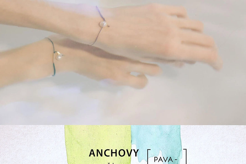 „Pavasario Pop up“ dalyvis: „Anchovy“