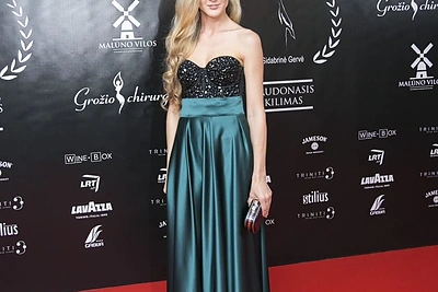 „Sidabrinės gervės“ apdovanojimų svečiai