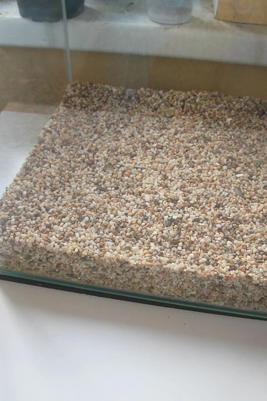 Kaip įsirengti terariumą augalams