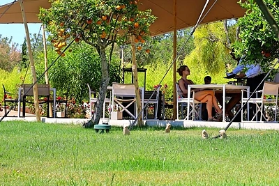 Milanos Jašinskytės atostogos Ibisoje