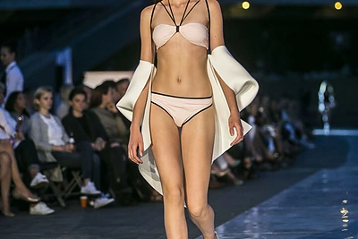 Lauros Dailidėnienės kolekcija