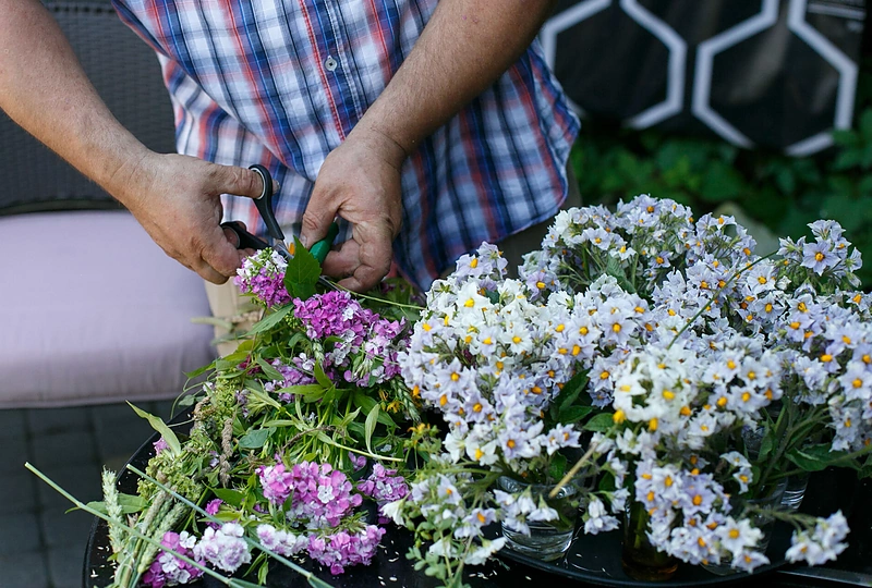 Bulvių žiedų šukuosenos kūrimas