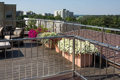 Naujas Vaidos Skaisgirės hobis – sodininkystė