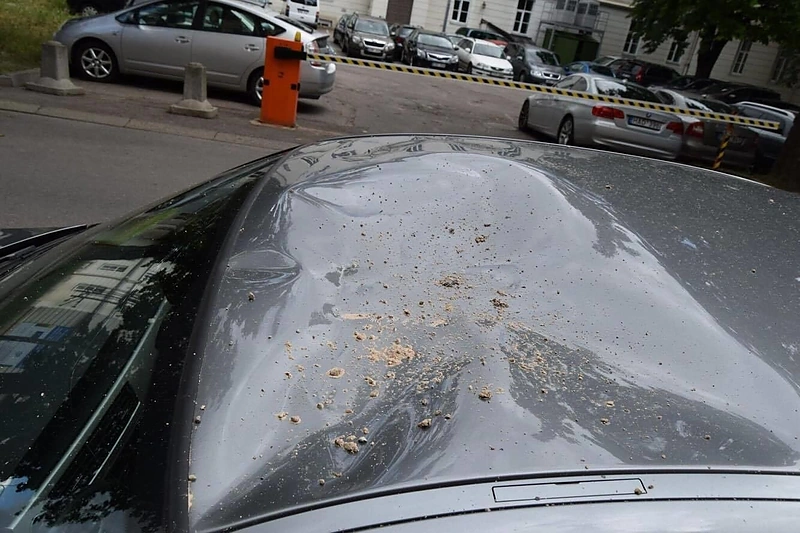 Arvydo Anušausko BMW aplamdė betono gabalas