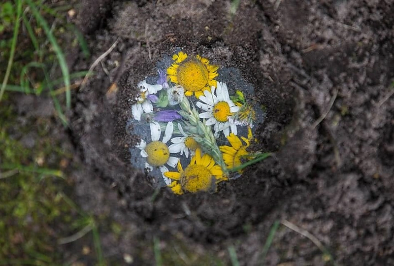 „Naisių vasara 2016“ vos nesprogo nuo 60 tūkstančių dalyvių