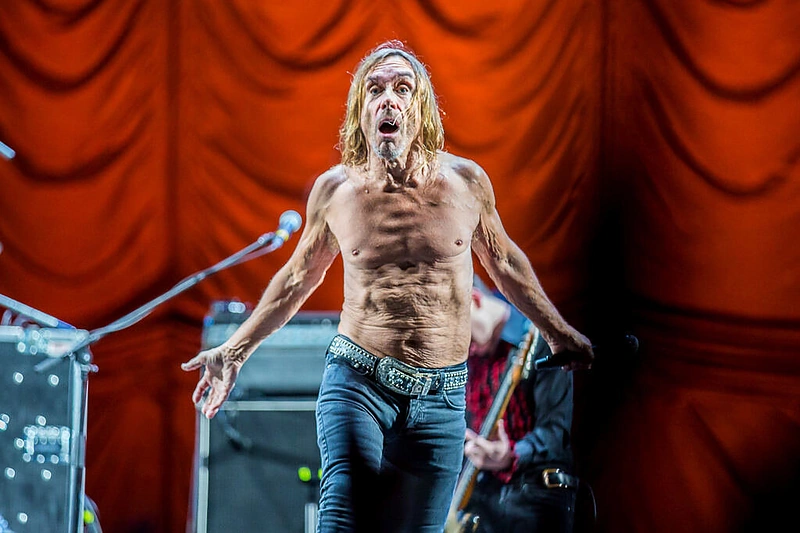 Iggy'io Popo pasirodymas / „Positivus 2016“ / Gyčio Vidžiūno nuotr.