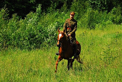 Mykolas Vildžiūnas seriale „Laisvės kaina. Savanoriai“