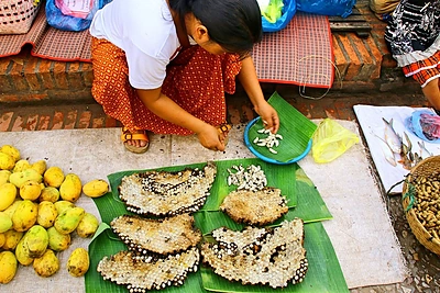 Milanos Jašinskytės atostogos Azijoje