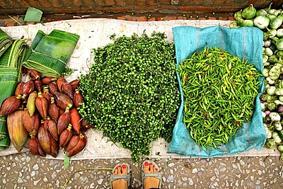 Milanos Jašinskytės atostogos Azijoje