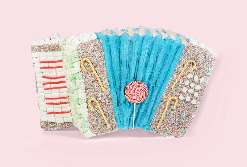 Jolitos Vaitkutės kurtas akordeonas