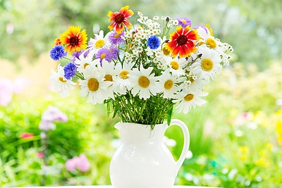 Žolinės puokštė – kokia jos reikšmė ir kaip ją pasigaminti?