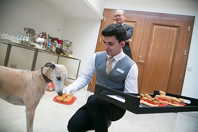 Prekės ženklo šunims SHOO pristatymas