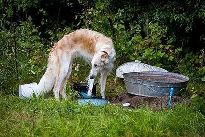 Festivalis Mėnuo Juodaragis 2016