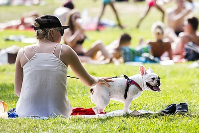 Paskutinis vasaros sekmadienis