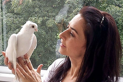 Irma Jurgelevičiūtė