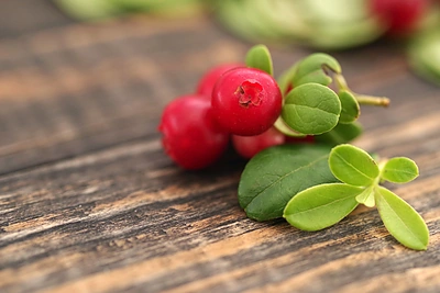 Spanguolės – iš tikrųjų gydo ar tai tik dar vienas placebas?