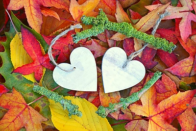 Kai bijome mylėti ir atstumiame meilę: 5 elgesio modeliai